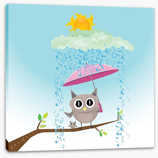 Owls