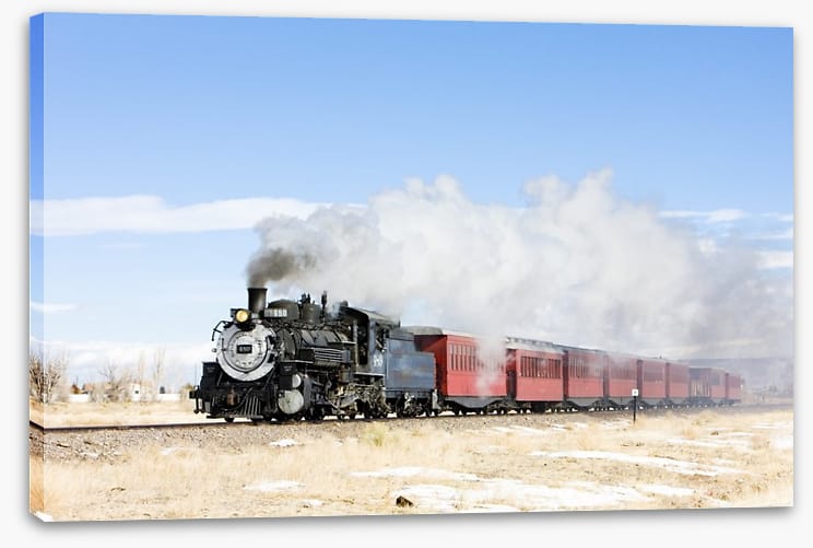 Narrow gauge steam train