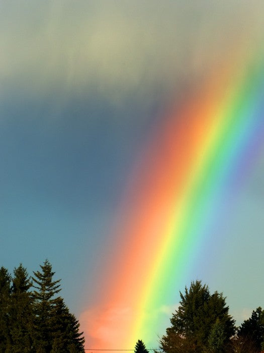 Rainbows