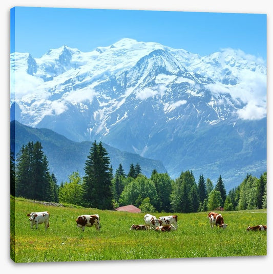 Below Mont Blanc