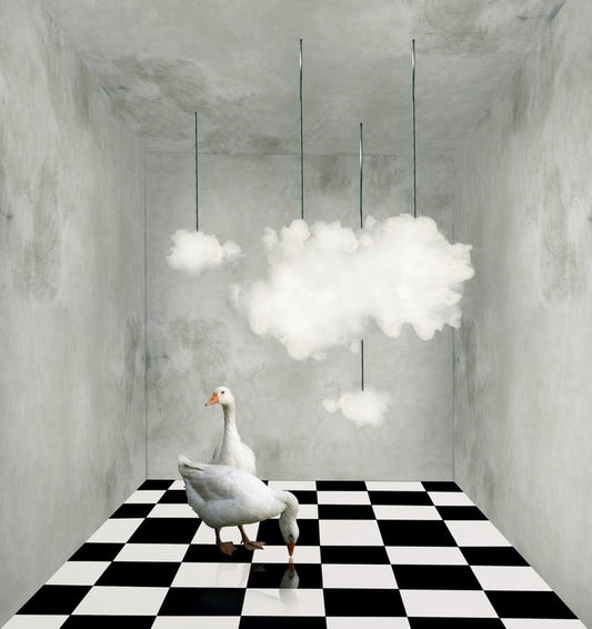 The room with clouds and ducks