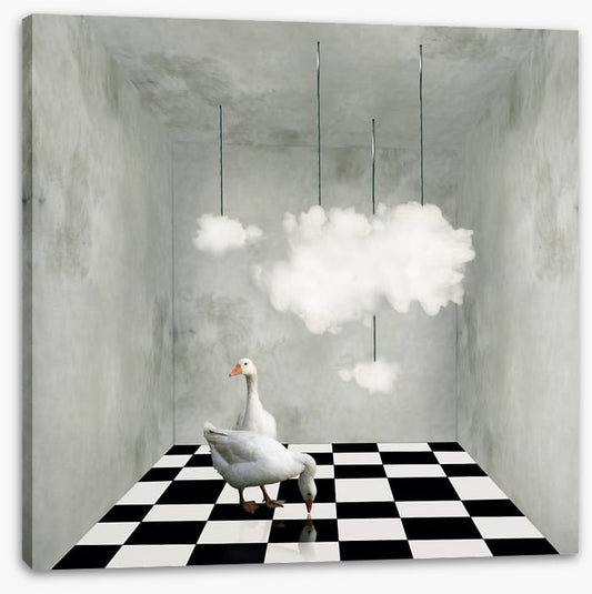 The room with clouds and ducks