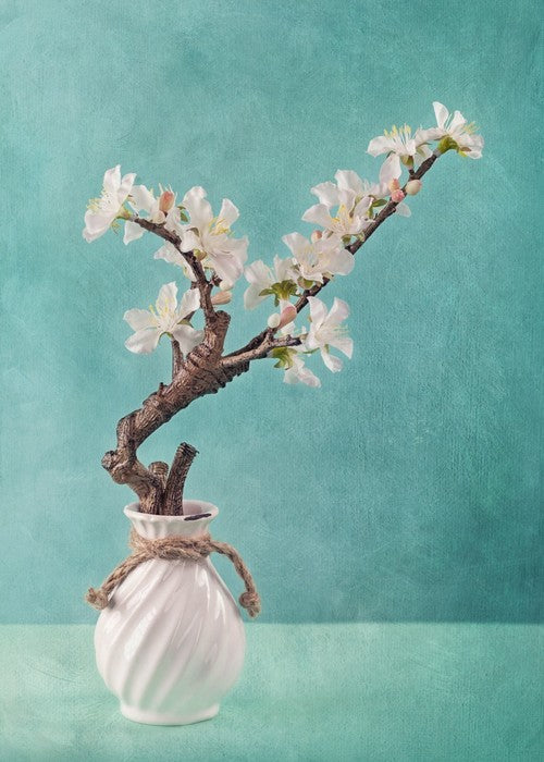 Spring apple blossoms