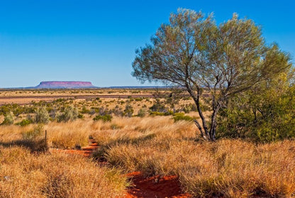 The trail to Uluru