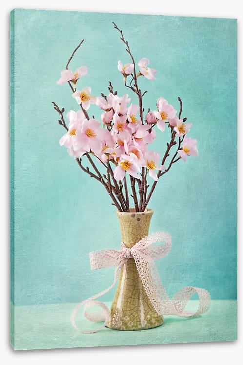 Spring apple blossoms