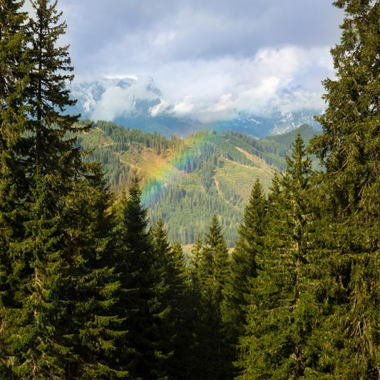 Rainbows