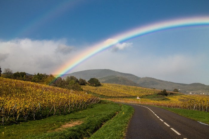 Rainbows