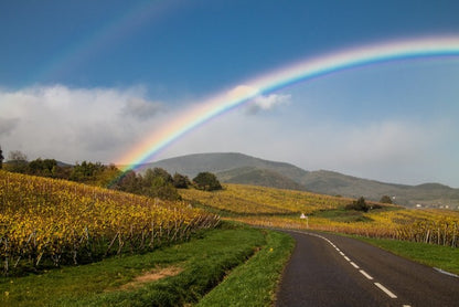 Rainbows