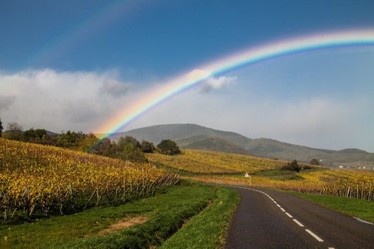 Rainbows