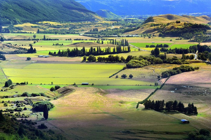 Otago valley, New Zealand