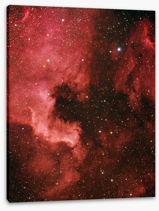 Pelican nebula