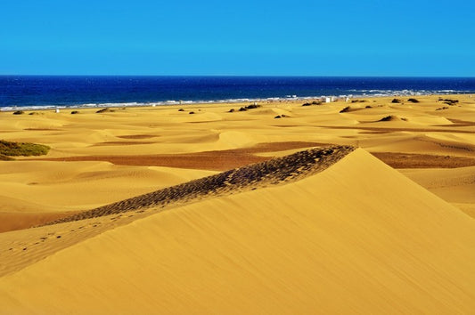 Desert