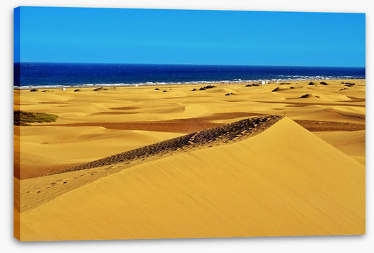 Desert