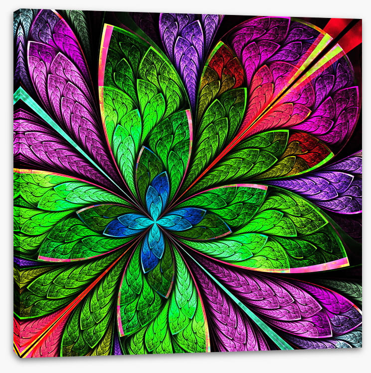 Stained Glass