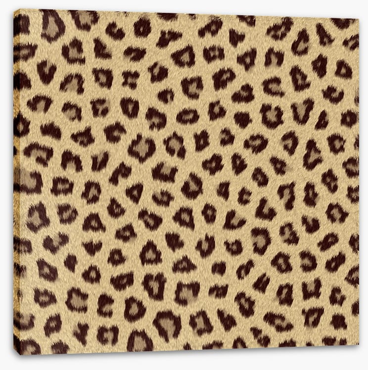 Animal Print