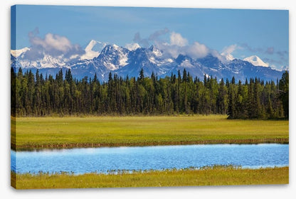 Alaskan beauty