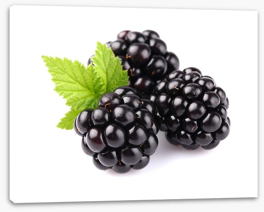 Blackberry trio