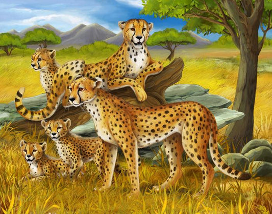 Cheetah safari