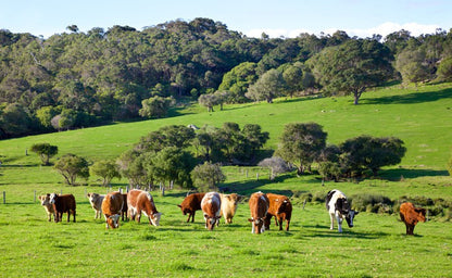 Agriculture