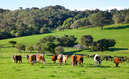 Agriculture