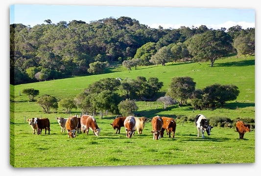 Agriculture