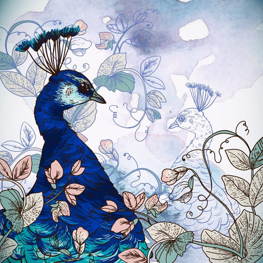 Peacock shadow