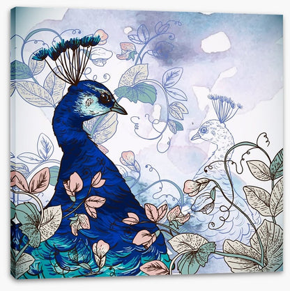 Peacock shadow
