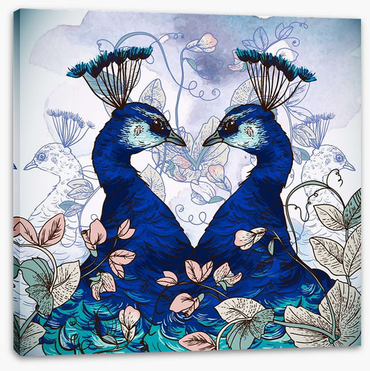 Peacock pair