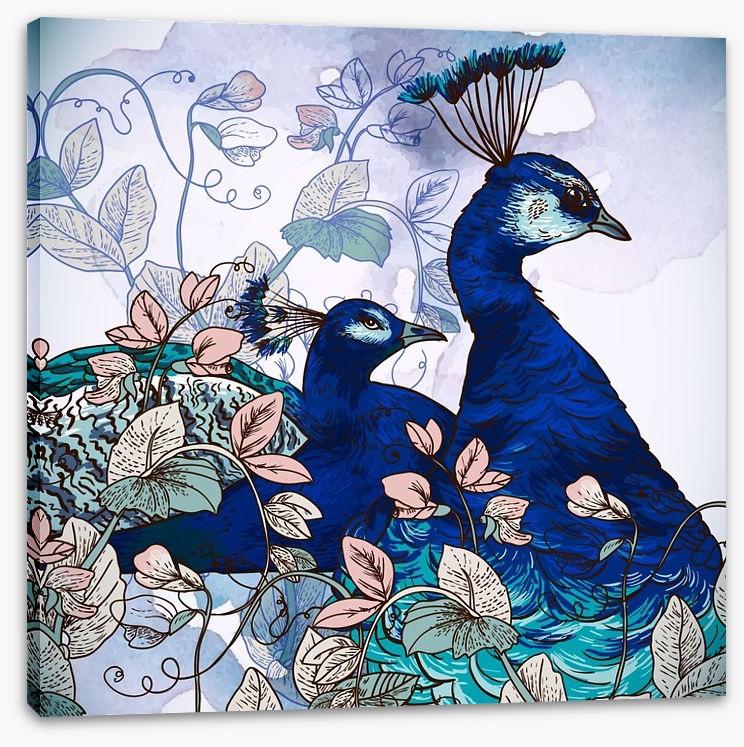 Peacock pair
