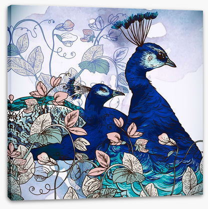 Peacock pair