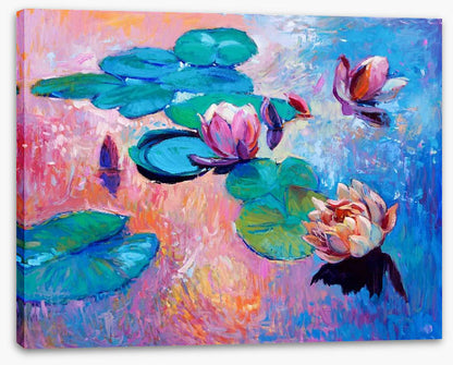 Water lilies