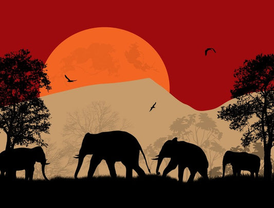 Savanna sunset