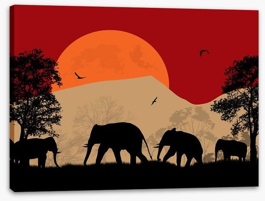 Savanna sunset