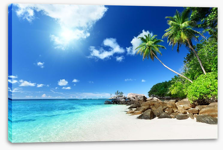 Seychelles shores