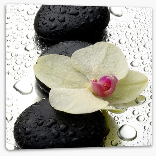 The patter of raindrops