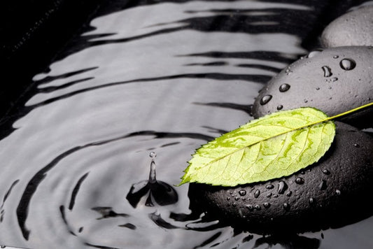 Green leaf