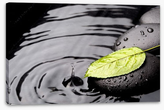 Green leaf