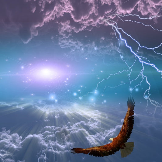 Flight to the light