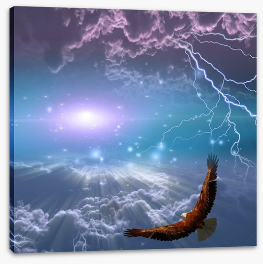 Flight to the light