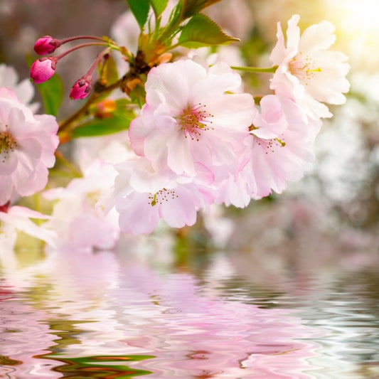 Awakening spring