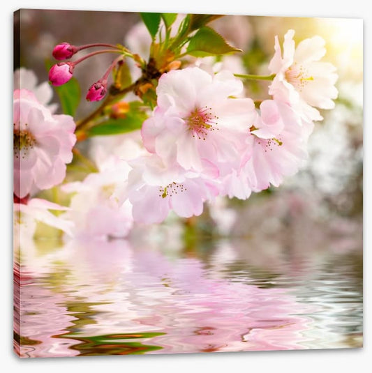 Awakening spring