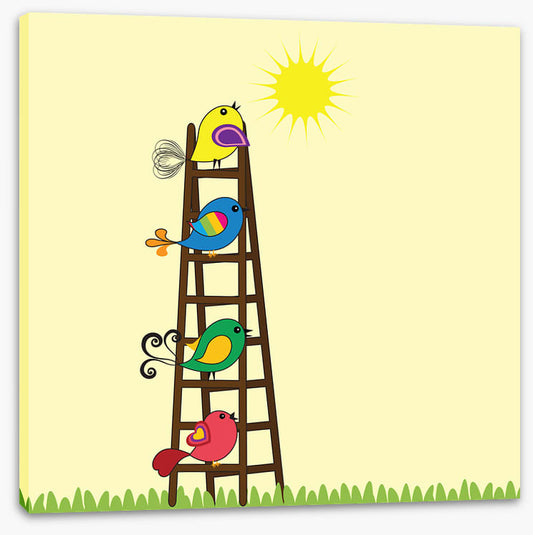Sun ladder birds