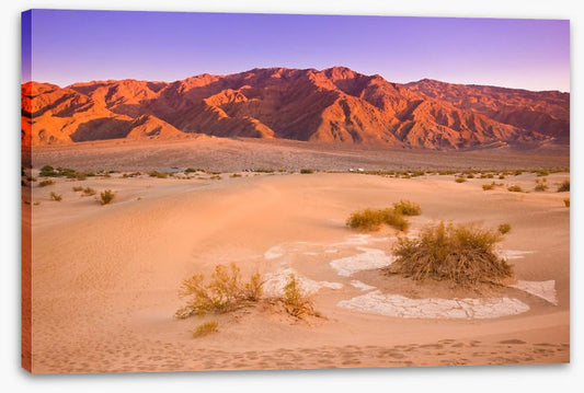 Desert