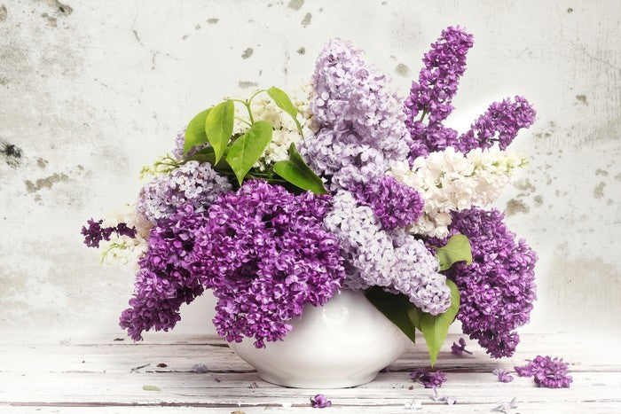 Lilac in the vase