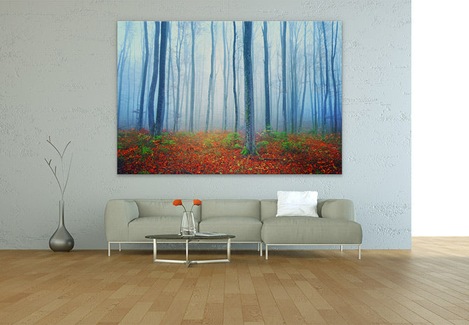 Autumn fairytale forest