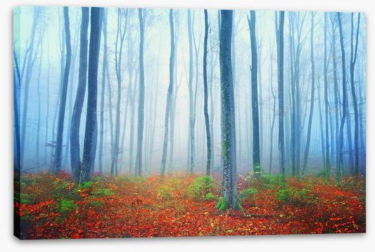 Autumn fairytale forest
