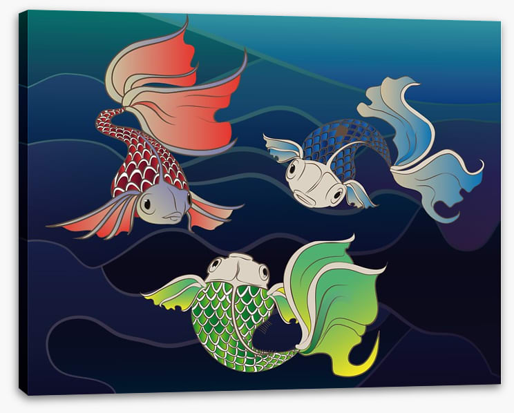 Three fish swim