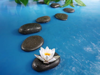 Equilibrium