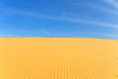 Desert