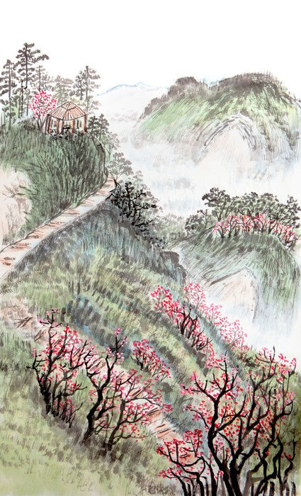 Plum blossom mountain